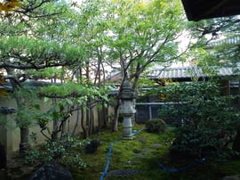 剪定＠奈良県大和高田市【庭匠（にわしょう）】奈良県北葛城郡広陵町