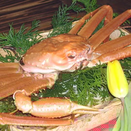 タグ付き松葉蟹