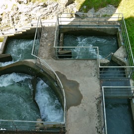 Photo ©M.H. CINGAL juillet 2014