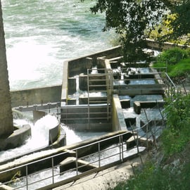 Photo ©M.H. CINGAL juillet 2014