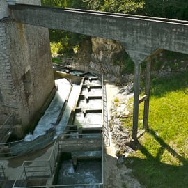 Photo ©M.H. CINGAL juillet 2014