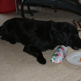 Geschenke gabs natürlich auch