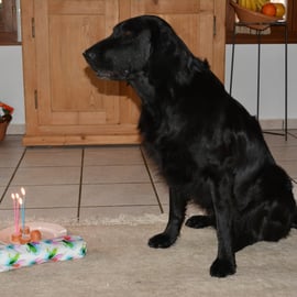Tane natürlich mit Kerzen und Cervealt
