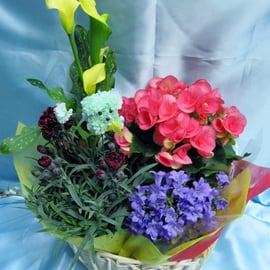 商品番号：HA-5　商品名：鉢アレンジ　　5,000円（税込）