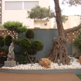 Jardin bien entretenu