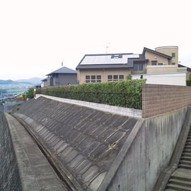 レッドロビン生垣剪定－奈良県香芝市　作業後②