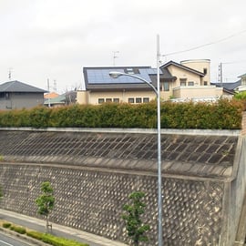 レッドロビン生垣剪定－奈良県香芝市－作業前