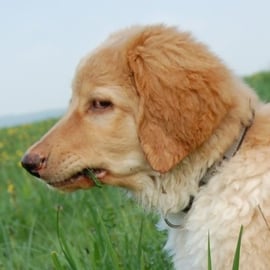 ... und hat sich geschmacklich wohl doch etwas mehr vorgestellt :)