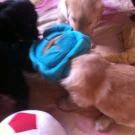 und erntet ein bischen Verwunderung bei den Kumpels...