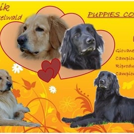 Hoffnungsfrohe Nachricht aus Italien: