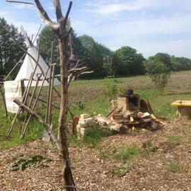 Das Jahr ist noch jung und es wird langsam grün