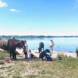 Ausflug an die Schlei