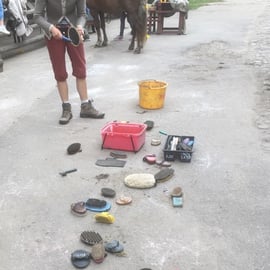 Welches Putzzeug wann und für was genau?