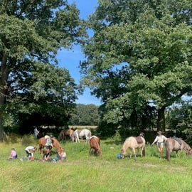 Ausflug mit all den lieben Pferden und Kindern