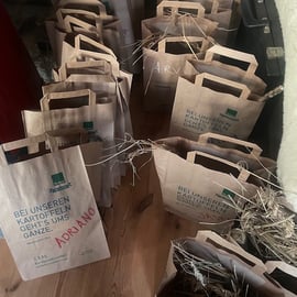 Die Abschlusstüten mit allen guten Gaben