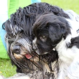 Fynn mit Luigi ... einfach nur lieb
