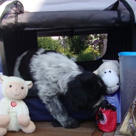 Lillifee fertig zur Abreise ... aber die Kekse müssen mit !