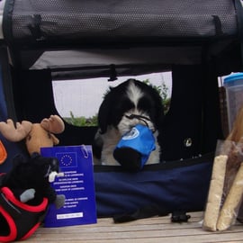 Lino mit seinem Reisegepäck