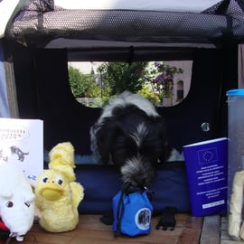 Luigi mit seiner Erstausstattung