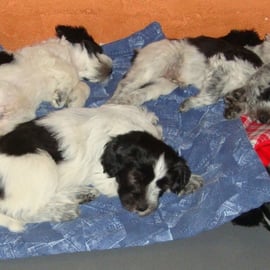 kurz vor Mitternacht, alle Ls schlafen brav