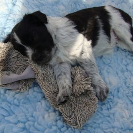 Besucherfreier Tag = ausschlafen in der Sonne