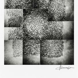 Mies Van der Rohe, Barcelona