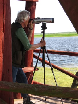 Beobachter mit Spektiv, Foto: Andrea Arends