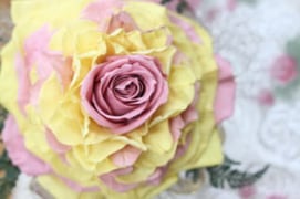  反対色でかわいい  Tさん作品