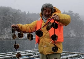 Shigeatsu Hatakeyama a écrit la forêt amante de la mer.