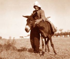 die grosse Tierliebe der Menschen war immer erkennbar