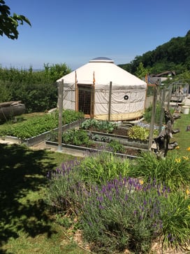 Craniosacral Therapie und Klangtherapie sowie schamanische Praktiken bringen inneres Gleichgewicht, Heilung auf allen Ebenen und tiefe Rückverbindung zu deinem Potenzial und deiner Urkraft.