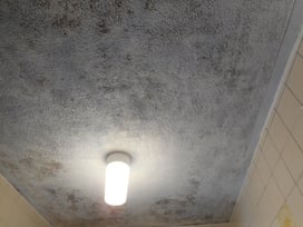 浴室 風呂 天井 カビ リフォーム前
