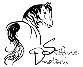 Klassische Reitkunst - Mobiler Reitunterricht