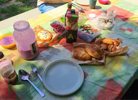 Picnic lunch with pastries, open sandwhiches, raspberries, cold beet soup, plates and cutlery on a colourful checkered tablecloth in a park in Riga