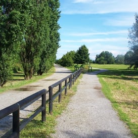 Visita guidata all'abbazia di Chiaravalle