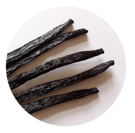 Vanilleschoten Nahaufnahme