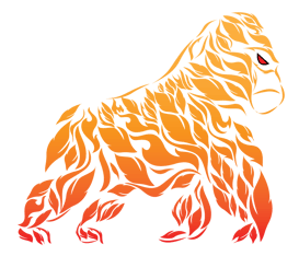 Ultra Endurance | Brevets | Ultradistanz