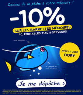 PROMO - 10% sur les barrettes mémoires ! Jusqu'au 10 janvier 2018, code : DORY Par ici : https://www.ldlc.com/informatique/pieces-informatique/memoire-pc/c4703/p1e0t8o1a1.html#523d712af1ceb