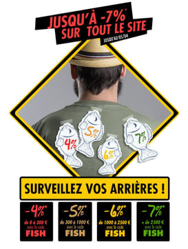 PROMO - Jusqu'à 7% sur tout le site, code : FISH ! Par ici : http://www.ldlc.com/n4053/#523d712af1ceb