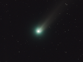  Lovejoy am 28.11.2013: 6 Zoll Refraktor mit 3 Minuten Belichtungszeit (wikipedia: NASA/MSFC/MEO/Aaron Kingery)
