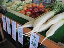 スマイルベジタブル和久井/トウモロコシ/野菜ソムリエ/東京インテリア/東京デザインセンター/家具/栃木県鹿沼市