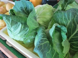 スマイルベジタブル和久井/トウモロコシ/野菜ソムリエ/東京インテリア/東京デザインセンター/家具/栃木県鹿沼市