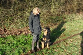 Beschützer und Shootingstar