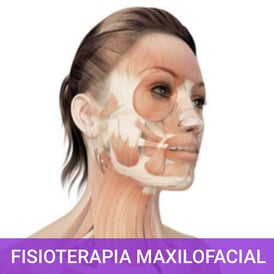 ATM Articulación temporomandibular