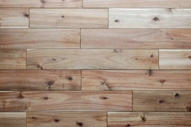 アカシア 乱尺  120幅 キャラクター オイル塗装