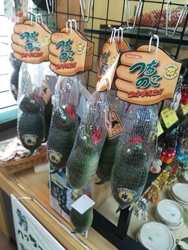 本物と見間違うスーパーリアルなソフビ人形