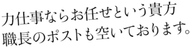 力仕事ならお任せという貴方、職長のポストも空いております。