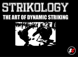 SC Int'l Street Combatives STRIKOLOGY The Art of Dynamic Striking