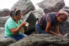 Adriana blows on the sea snail to make it secrete the dye.