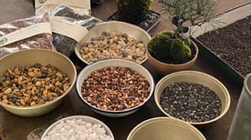 苔玉を飾る石　550円